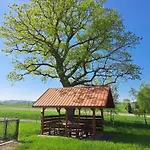 Homestay szállás Izabela - - Zator