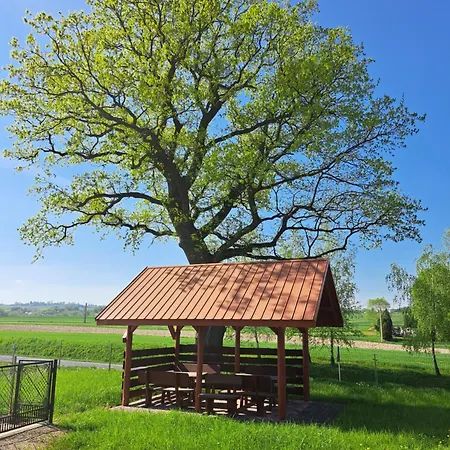 Homestay Izabela - - Zator